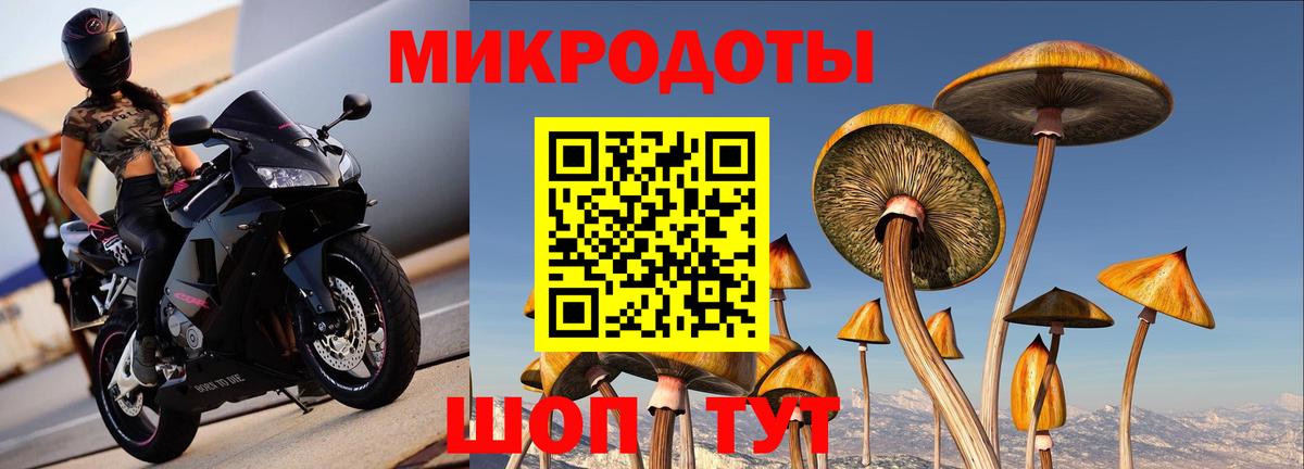 Галлюциногенные грибы Psilocybe  Вход с VPN  Калач-на-Дону 
